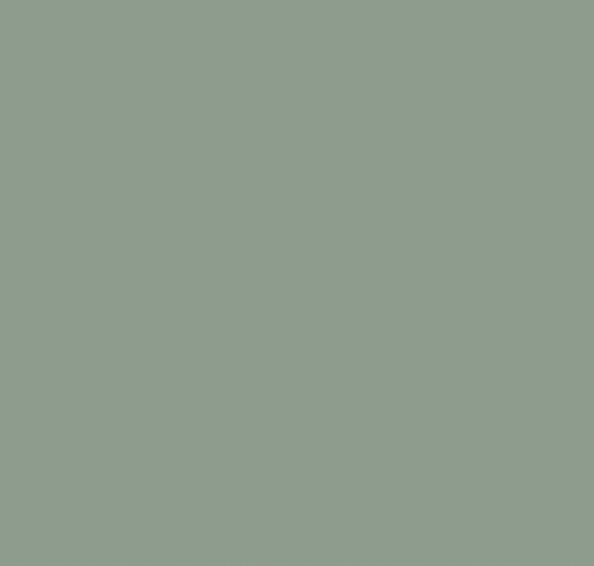 Touch Up Paint, Aerosol - Locas Green - 12 fl oz
