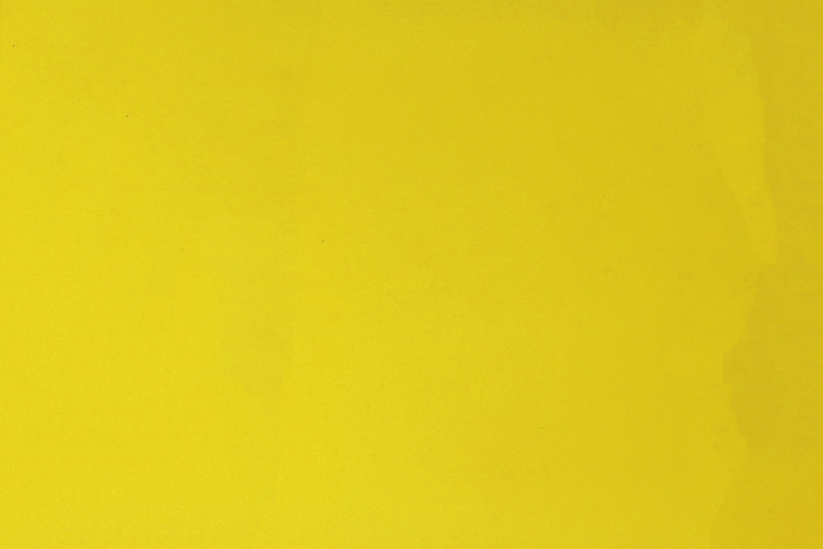 Touch Up Paint, Aerosol - Lemon Peel - 12 fl oz