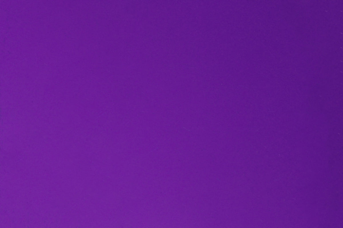 Touch Up Paint, Aerosol - Sinbad Purple - 12 fl oz