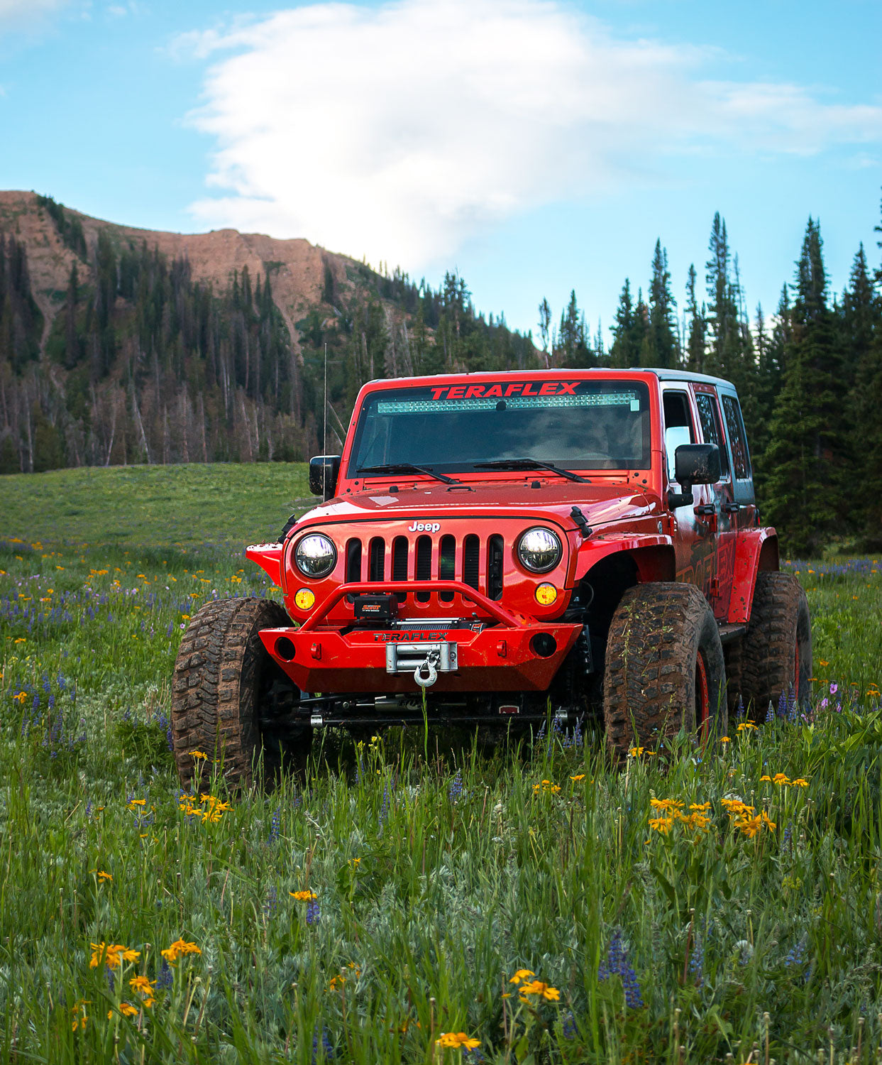 07-18 Wrangler JK RockGuard Epic Front Bumper w/ Hoop Offset Drum Winch TeraFlex