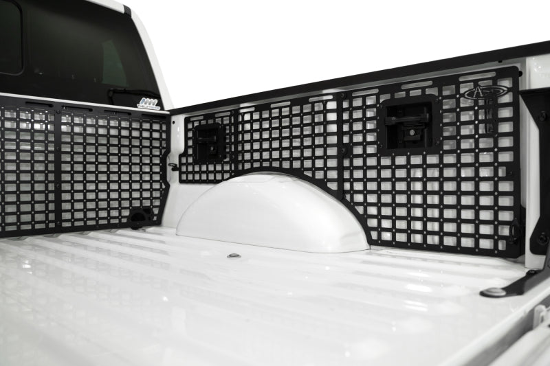 Photo - Close Up