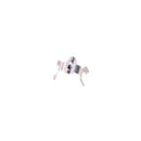 Photo - Unmounted