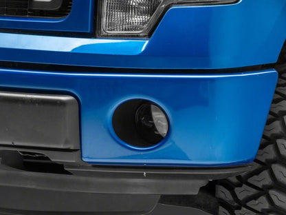 Photo - Close Up