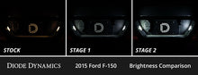 Diode Dynamics 15-20 d F-150 Interior LED Kit Cool White Stage 1