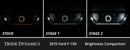 Diode Dynamics 15-20 d F-150 Interior LED Kit Cool White Stage 1
