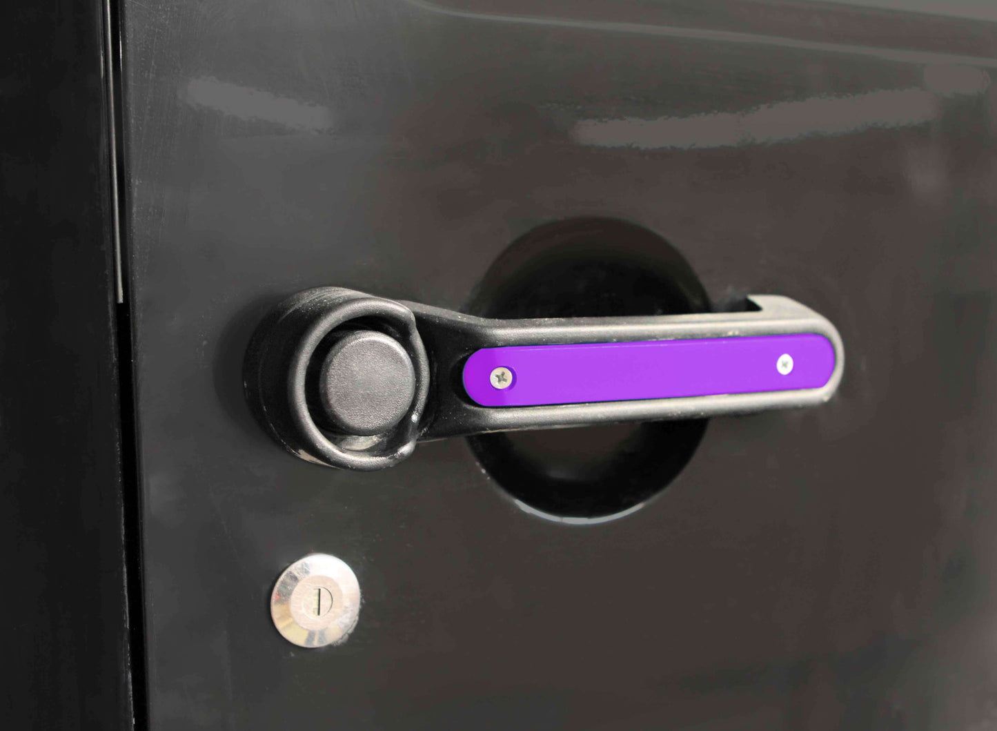 Steinjäger Doors Wrangler JK 2007-2018 Handle Accents 2 Doors Plus Tailgate Sinbad Purple