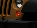 Photo - Close Up
