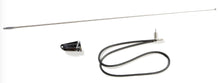 Steinjäger Exterior Accessories CJ-7 1976-1986 Antennas 32.5 inch