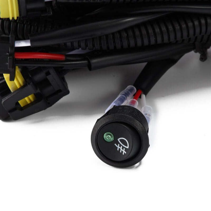 Photo - Primary