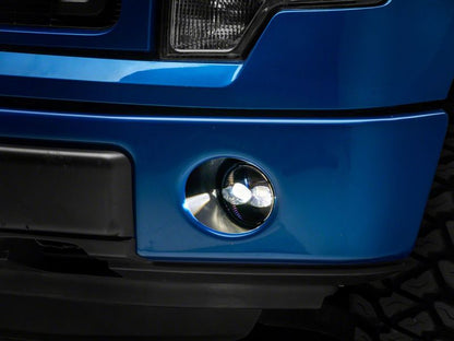 Photo - Close Up