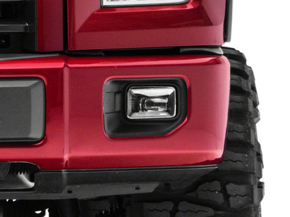 Photo - Close Up