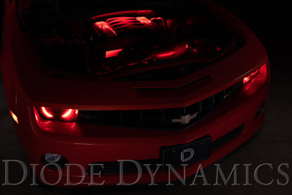 Diode Dynamics RGBW Engine Bay Strip Kit 4pc Multicolor